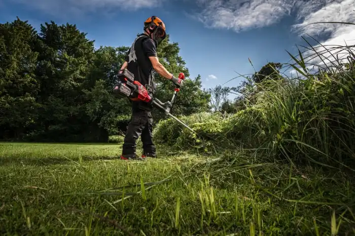 gresstrimmer illustrasjonsbilde.png